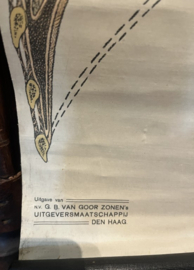 Zeldzame Antieke Anatomische Schoolplaat – Plaat VI door Barge (ca. 1920)