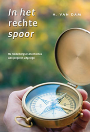 In het rechte spoor - H. van Dam