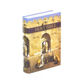 Holy Bible (Engelse schoolbijbel met platen)