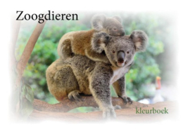 Zoogdieren - kleurboek