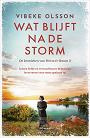 Wat blijft na de storm - Vibeke Olsson
