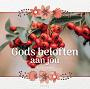 Gods beloften aan jou - Danielle Heerens