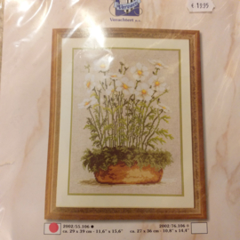 Witte Anemonen