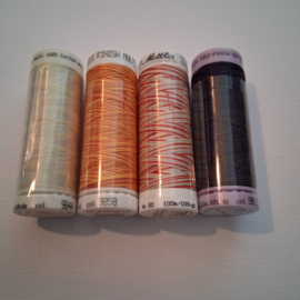 Mettler: Silk Finish Multicolor: Set 1