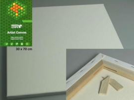 Canvasdoek 30x70CM