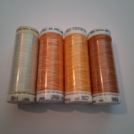 Mettler: Silk Finish Multicolor: Set 2