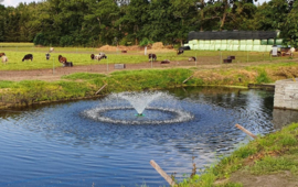 Professionele fontein / vijverbeluchter  - Osaka Professional Fontain