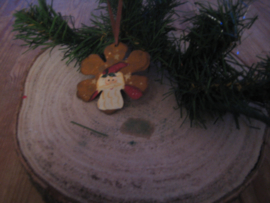 Ster met kerstman