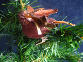 Bruine vogel met klem