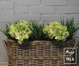 Set Hortensia Wit-Groen/Grass