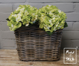 Set Hortensia Wit/Groen klein