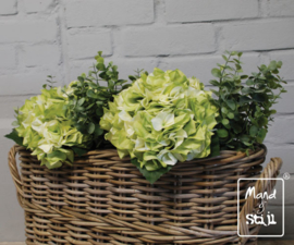 Set Hortensia Wit-Groen/Eucalyptus