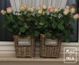 Set rotan mandjes voor snijbloemen (19x16x20cm)