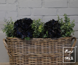 Set Hortensia Diepblauw/Eucalyptus