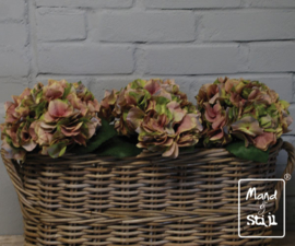 Set Hortensia Roze/Groen groot