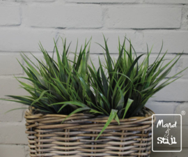 Set Grass klein