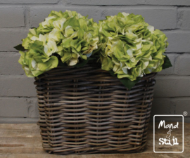 Set Hortensia Wit/Groen klein