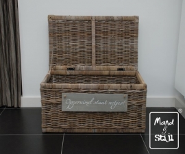 Strakke opbergkoffer groot (80x48x40cm)