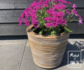 Plantenpot stripe (38x36cm)