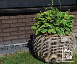 Plantenpot bolvorm groot (58x43cm)