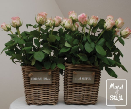 Set rotan mandjes voor snijbloemen (19x16x20cm)