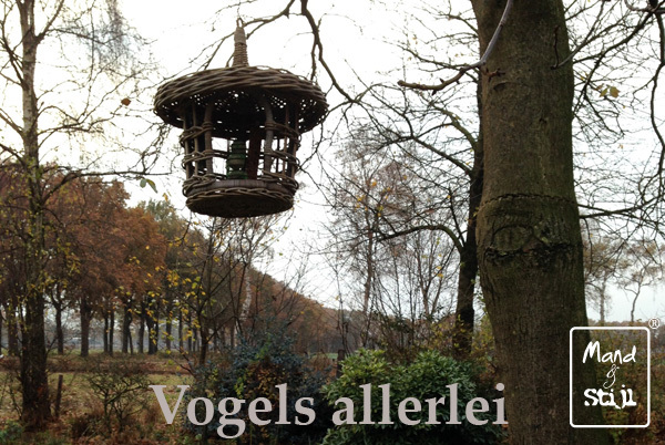 Vogels allerlei