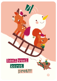 set van 6 kerst ansichtkaarten - BORA illustraties