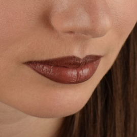 Organische matte lippenstift die 107 Lin bedekt