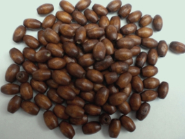 500 x Houten kralen  8x5mm  donkerbruin