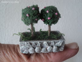 Puppenhaus-Miniaturbox mit Bonsai-Bäumen im Maßstab 1:12