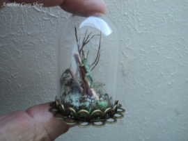 Puppenhaus-Miniatur-Glaskuppel mit Gecko im Maßstab 1:12