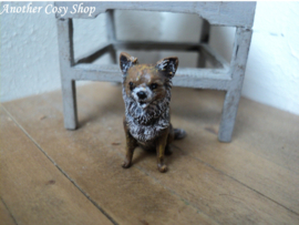 Poppenhuis miniatuur chihuahua (zittend) schaal 1;12