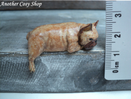 Französische Bulldogge Puppenhaus Miniatur 1:12