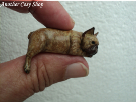 Französische Bulldogge Puppenhaus Miniatur 1:12