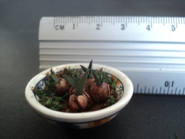 Dollhouse miniature white bowl with flower bulbs 1" scale