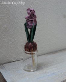 Poppenhuis miniatuur hyacint op glas schaal 1:12