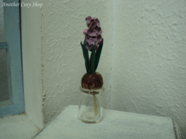 Dollhouse  miniature hyacinth bulb on glass in 1" scale