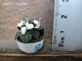 Dollhouse miniature cyclamen in pot 1" scale