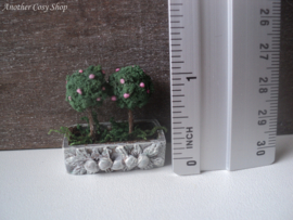 Dollhouse miniature  planter  with bonsai trees in  1" scale