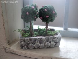 Puppenhaus-Miniaturbox mit Bonsai-Bäumen im Maßstab 1:12