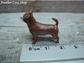 Poppenhuis miniatuur kortharige chihuahua schaal 1:12