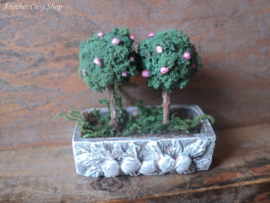 Dollhouse miniature  planter  with bonsai trees in  1" scale