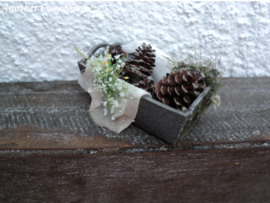 Poppenhuis miniatuur bakje dennenappels schaal 1:12