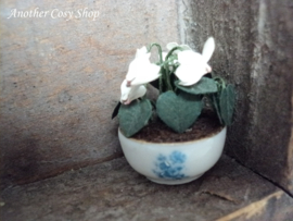 Dollhouse miniature cyclamen in pot 1" scale