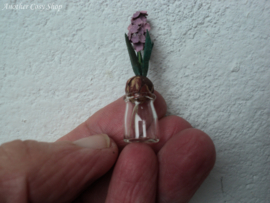 Puppenhaus-Miniatur-Hyazinthe im Glas. Maßstab 1:12