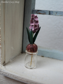 Dollhouse  miniature hyacinth bulb on glass in 1" scale