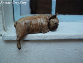 Poppenhuis miniatuur Franse bulldog schaal 1:12