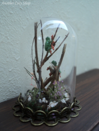 Puppenhaus-Miniatur-Glaskuppel mit Fröschen im Maßstab 1:12