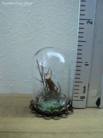 Dollhouse miniature glass dome with gecko decoration 1" scale