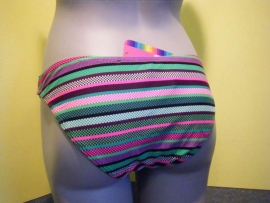 Shiwi green stripe bikini slip 40